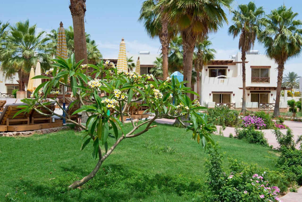 Amphoras Aqua Sharm el-Sheikh Exterior foto
